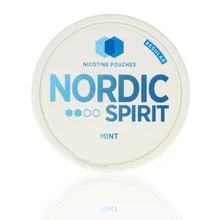 Nordic Spirit Tobacco Free Chew Bags Mint 6mg