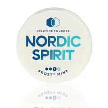 Nordic Spirit Tobacco Free Chew Bags Frosty Mint 9mg