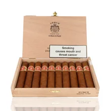 Open wooden box of 10 Punch Short de Punch Cuban cigars arranged beneath the branded Punch Habana Cuba lid.