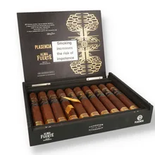 Plasencia Alma Fuerte Hexagono Sixto II Nicaraguan Cigars (Full Box of 10 Cigars)