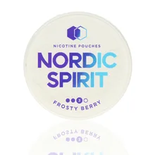 Nordic Spirit Tobacco Free Chew Bags Frosty Berry 9mg