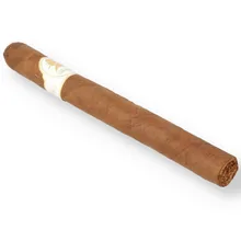 Davidoff Winston Churchill Collection Churchill Aristocrat (Single Cigar)