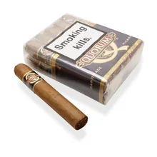 Quorum Nicaraguan CLASSIC Robusto (Bundle of 10 Cigars)
