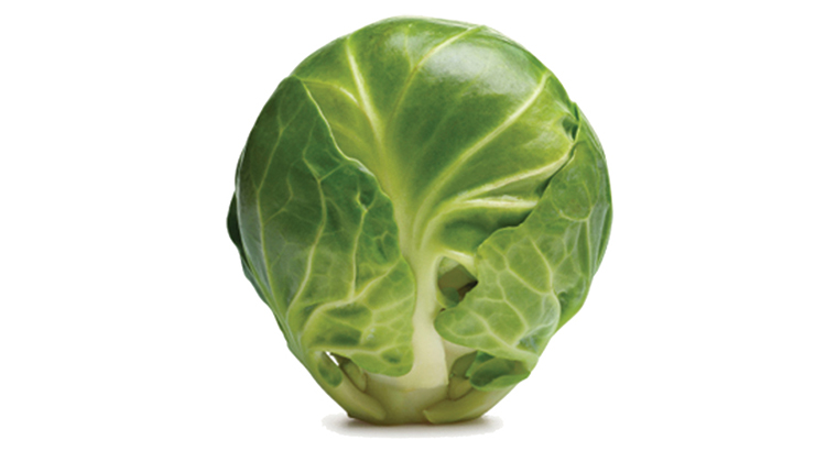 brussel sprout