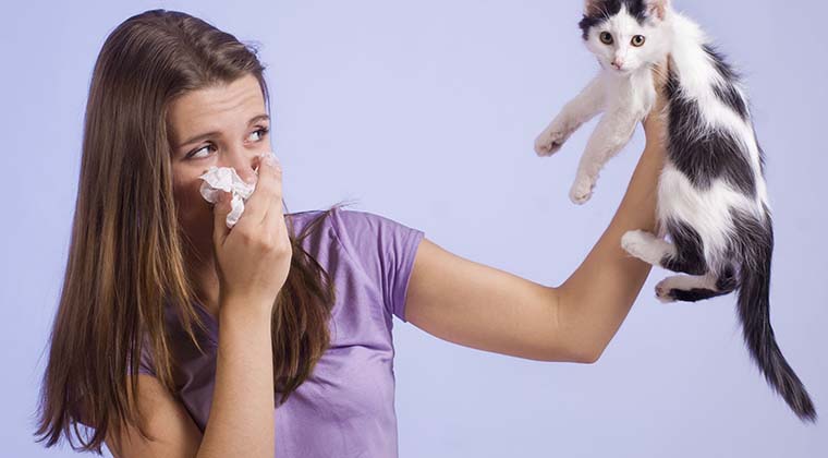 girl holding kitten away