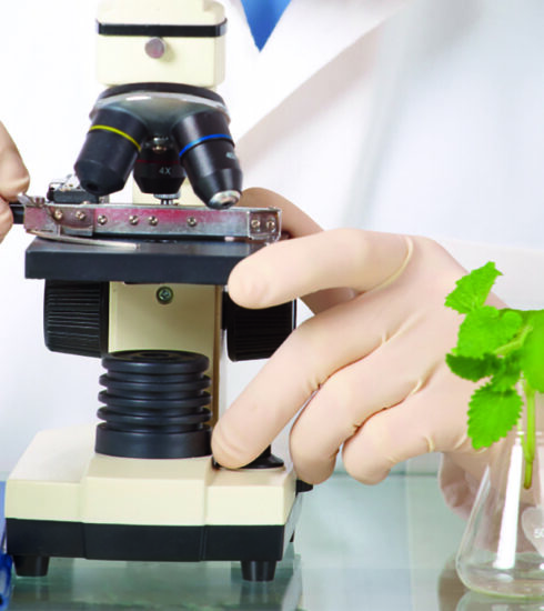 Researcher in the laboratory