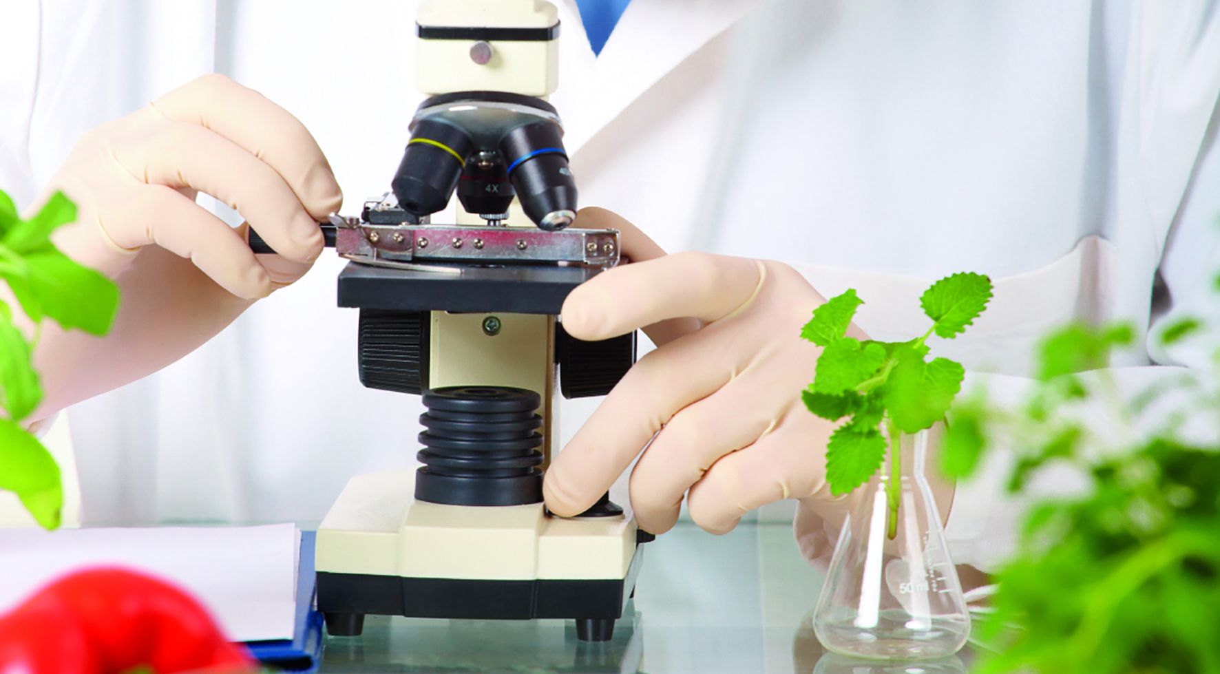 Researcher in the laboratory