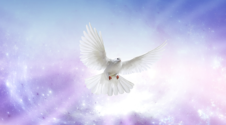 Meditation, Meaning of Life and Peace