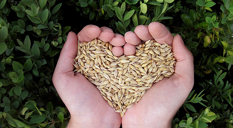 Soil Association launches top Christmas organic food swaps