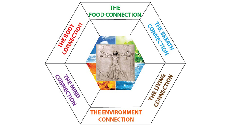 Is lifestyle medicine a contradiction?