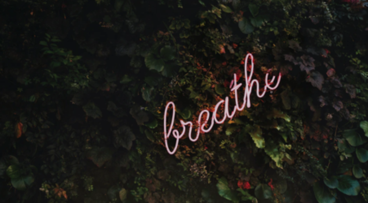 5 anxiety easing and cognitive boosting habits that will outlive lockdown – and the science of how they work