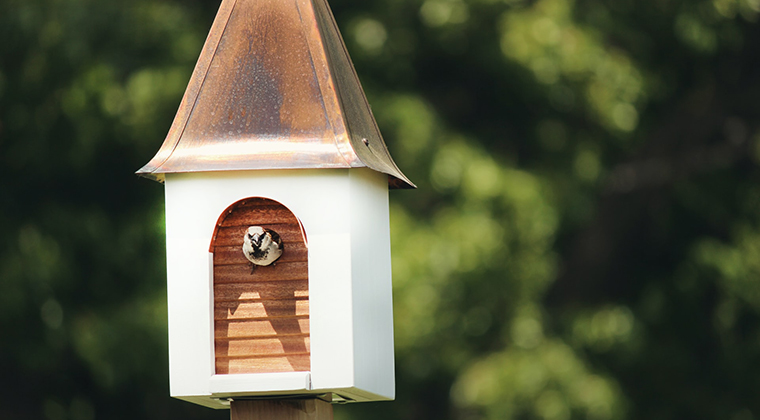 How to go green with your exterior renovation
