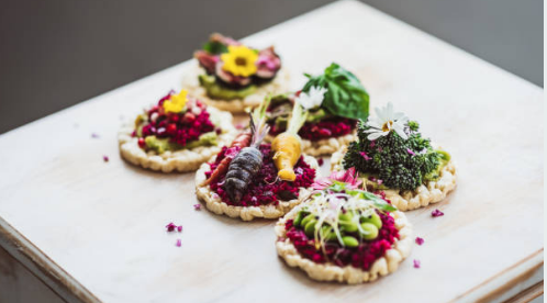 plant based diet