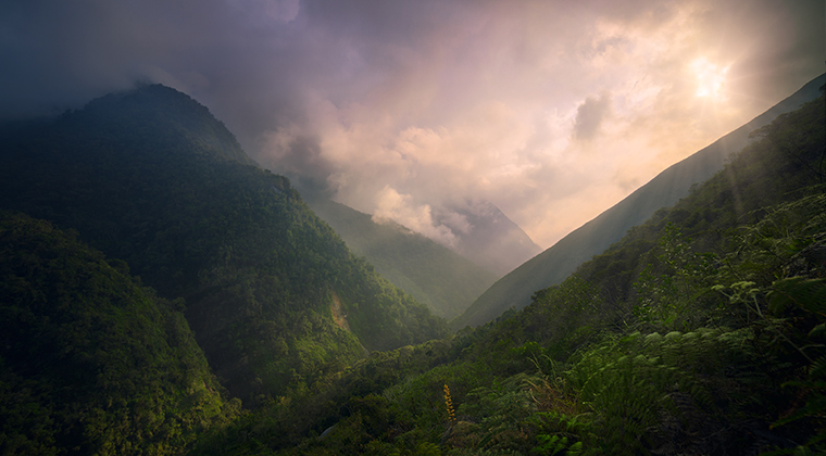 Sierra Nevada de Santa Marta Copyright Tristan Quevilly