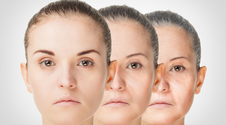 Menopause and skin