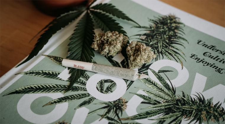 Cannabis Restrictions: What You Need to Know