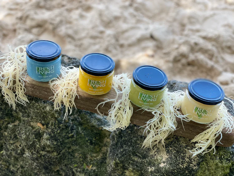 Review: Fresh Living's Original Sea Moss Gel