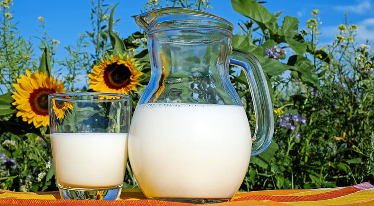 Common Food Intolerances and How to Manage Them