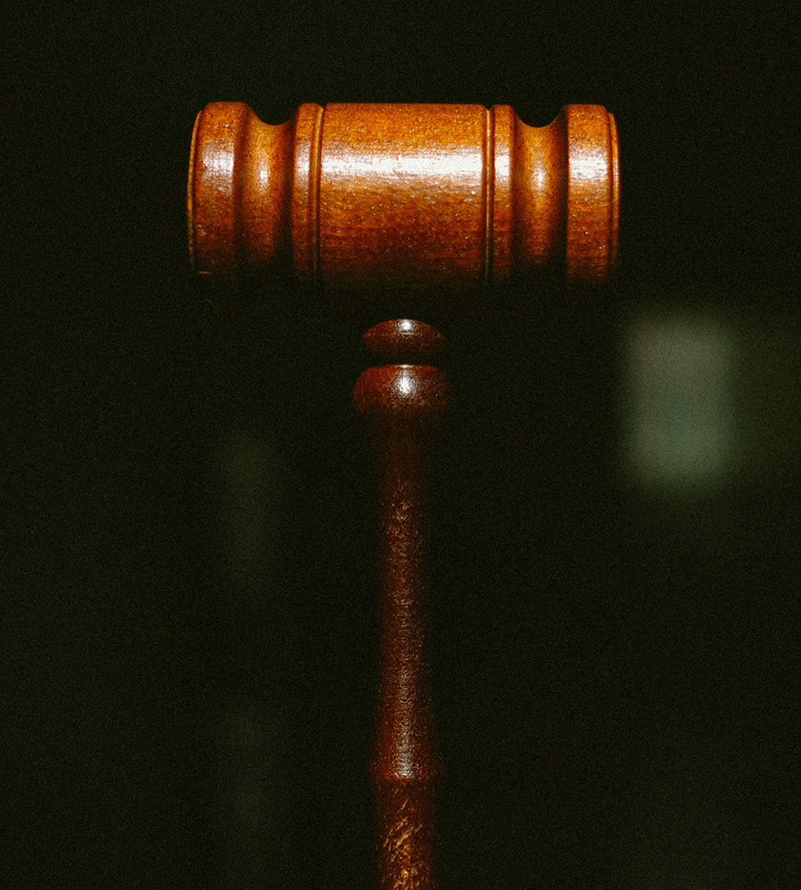 Filing a Personal Injury Claim After a Dog Bite