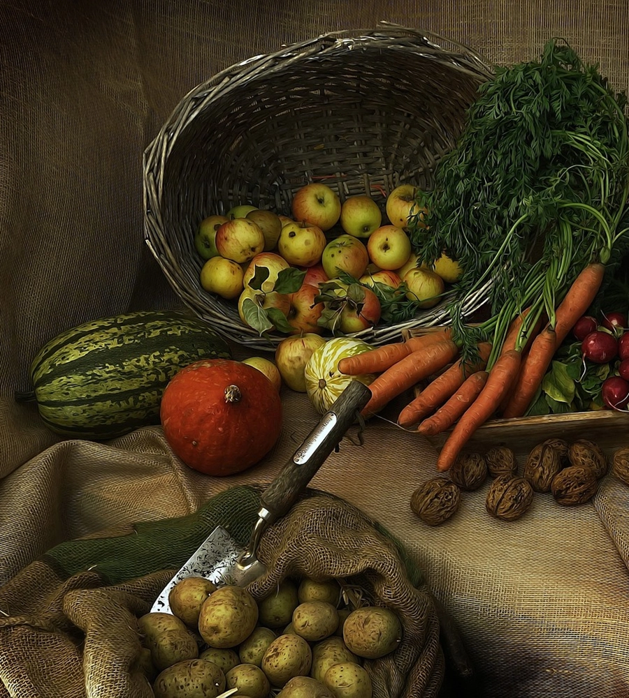 Personalized Nutrition: More Than Just a Diet