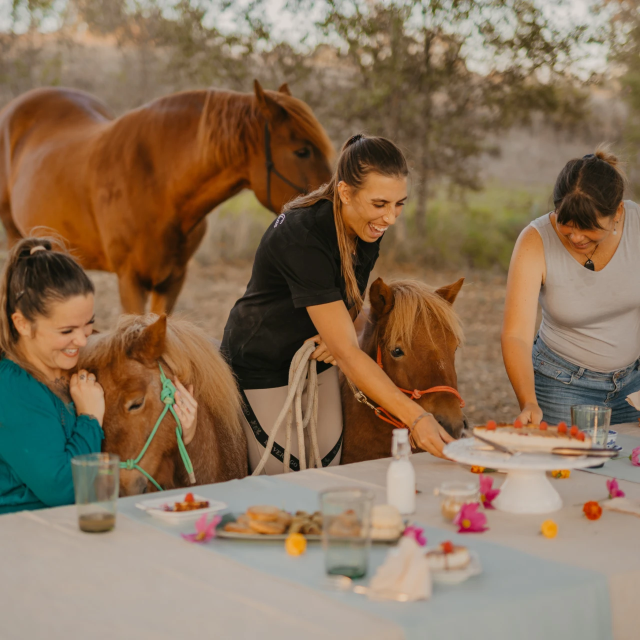 horses with people eating lunch, horse therapy at Quinta Carvalhas