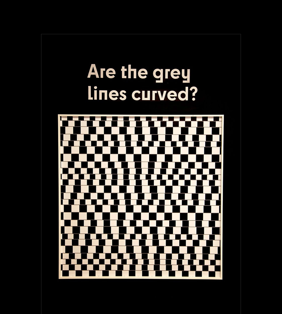 Image Source: Twist Museum