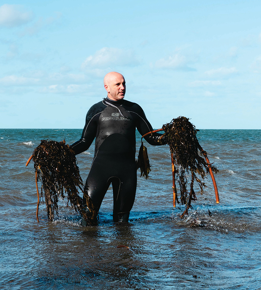Seaweed: Nature’s Superfood and the Mission of Doctor Seaweed