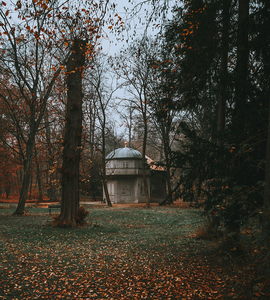 domed building nestled in some green trees