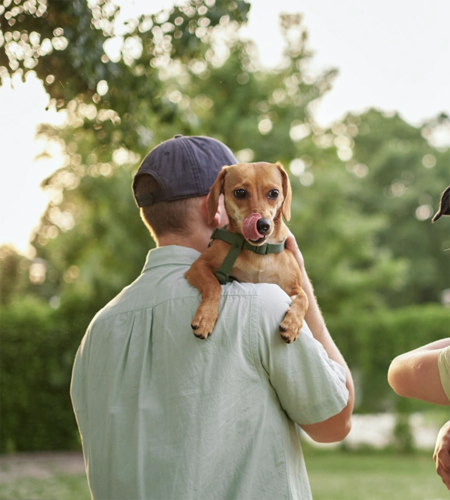 How Caring for Your Pet Supports Your Own Well-Being