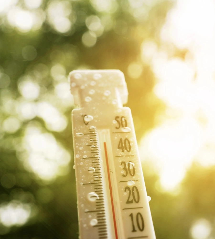 How to Pest-Proof Your Home in Orange County Before the Next Heatwave Hits