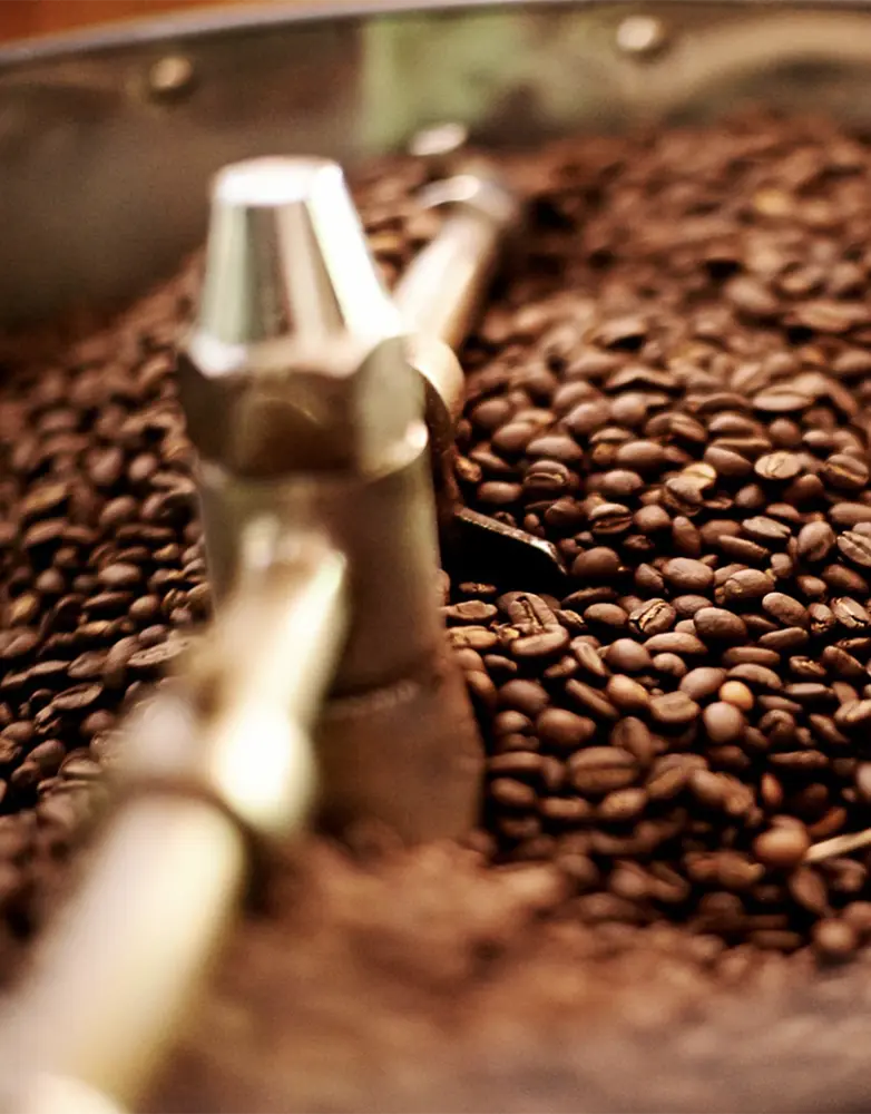Top 7 Trusted Stores to Buy Costa Rican Coffee Beans Online