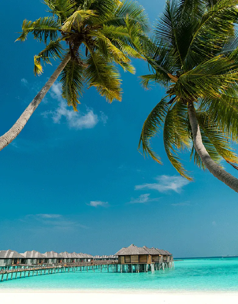 Maldives Wellness Experience and Travel Symposium 2026: A New Era for Wellness Tourism