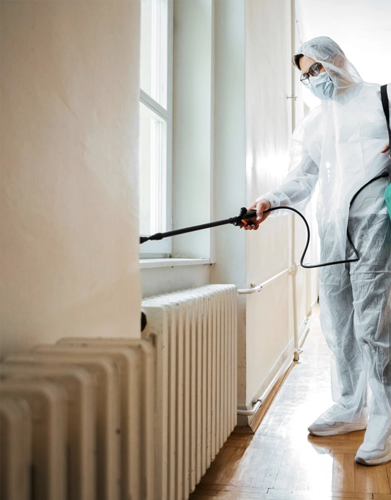 Why Professional Pest Managers Provide Safer Home Environments