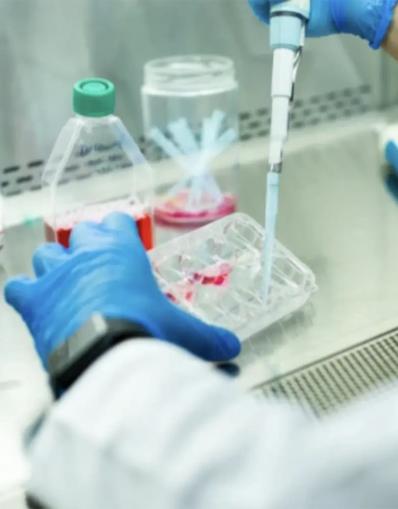 The Role of Stem Cells in Tissue Engineering and Regenerative Medicine