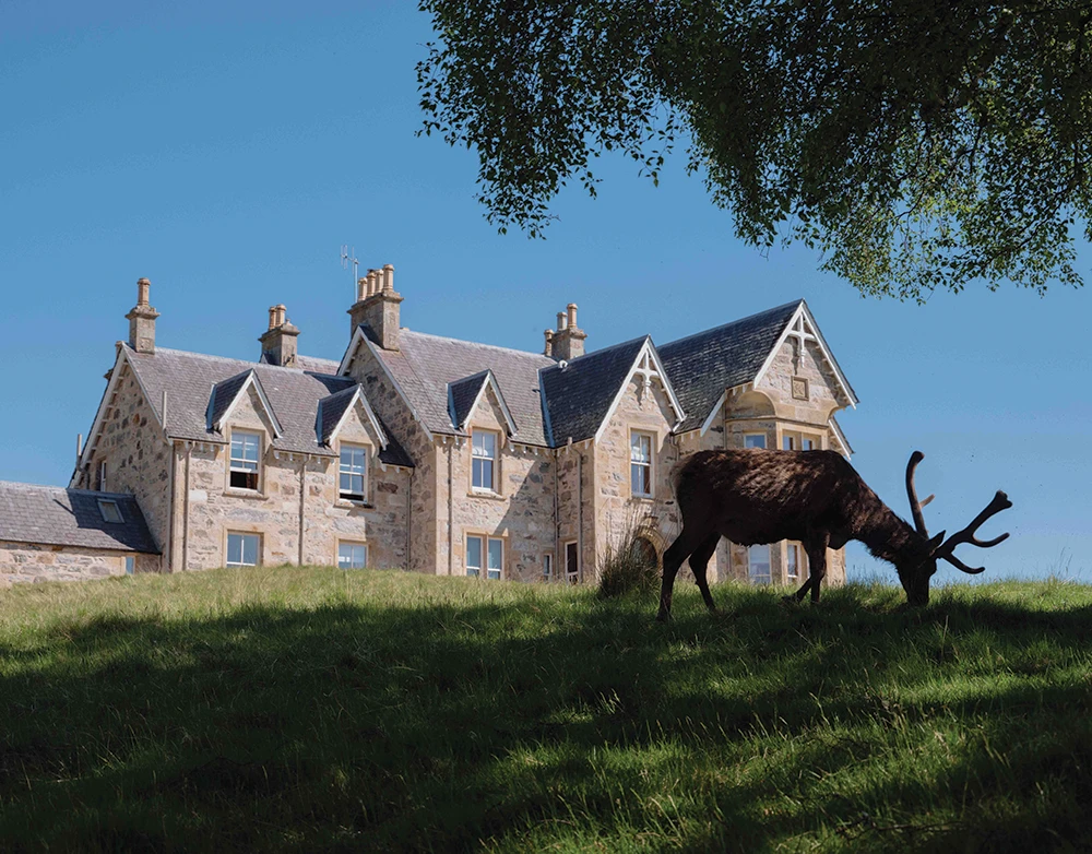 Alladale Wilderness Reserve -Rory Fuller 