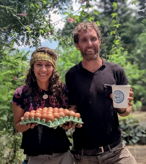 Designing a Sustainable Future: Neal Hegarty 