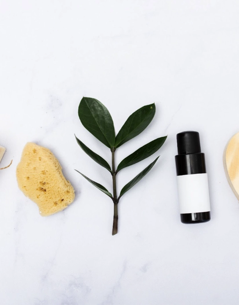 Top Wellness Brands and Tools to Boost Your Health Routine