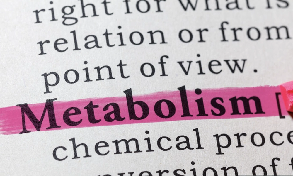 5 x top tips to help your metabolism