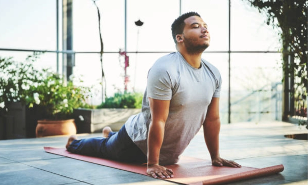 Whole Body Wellness: Creating Harmony Between Mind, Body, and Lifestyle