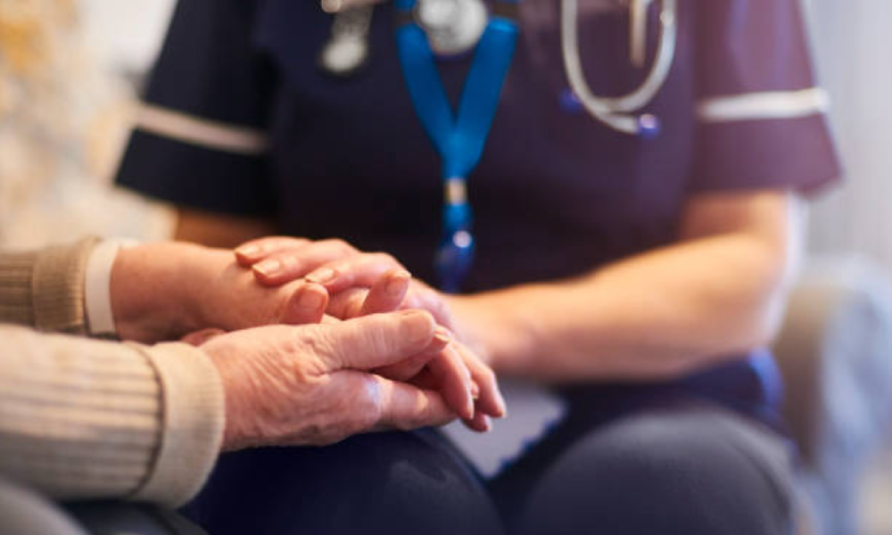 Hospice Care Bay Area: In-Home Support Across San Francisco, Fremont, and Walnut Creek