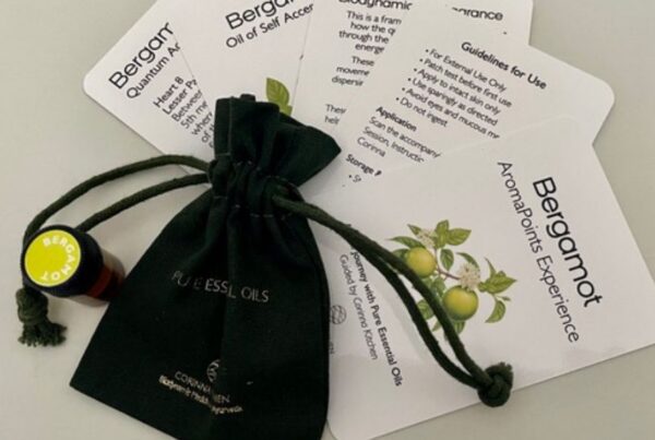 Velvety pouch suggesting it contains small bottle of essential oil. There are information and affirmation cards pertaining to the oil in particular, which is bergamot.