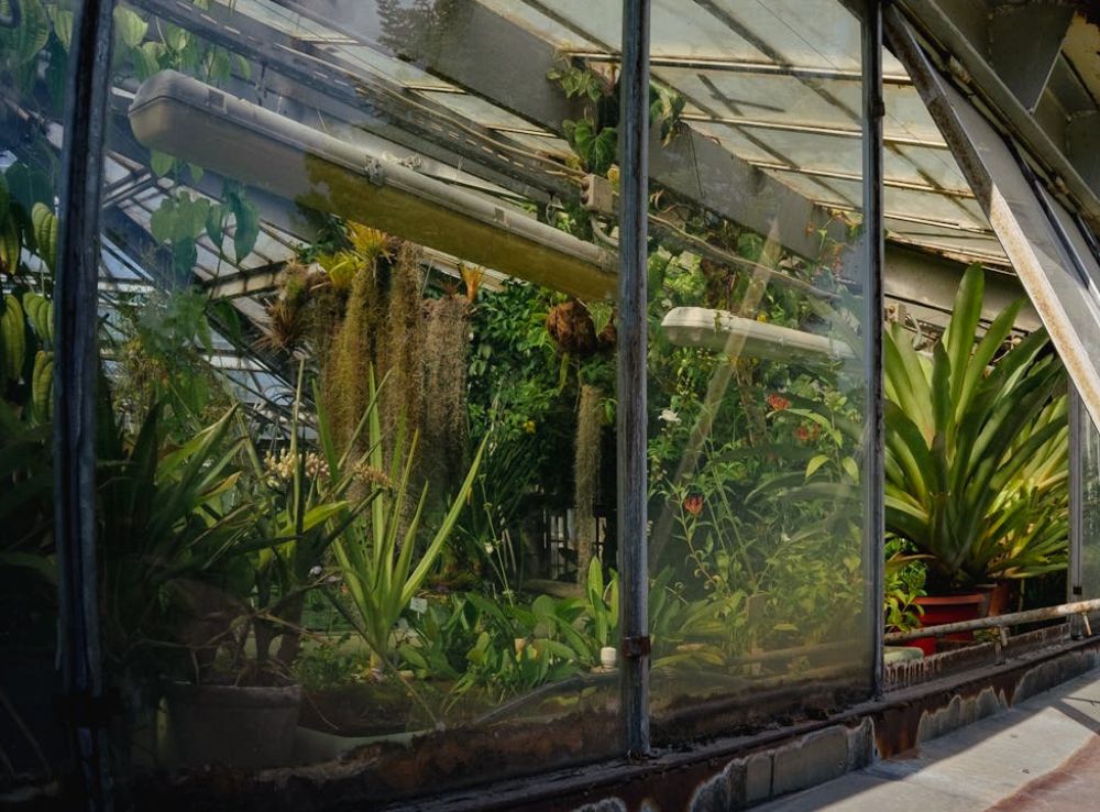How Greenhouse Systems Contribute to Health and Wellness Industries