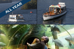 Freedom Of The Lake & Lakes Aquarium