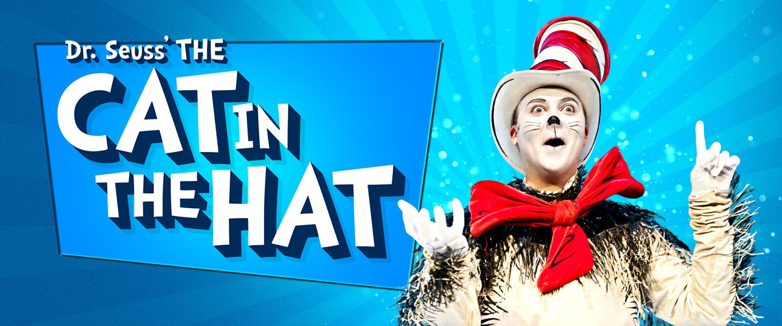 Dr Seuss' The Cat In The Hat