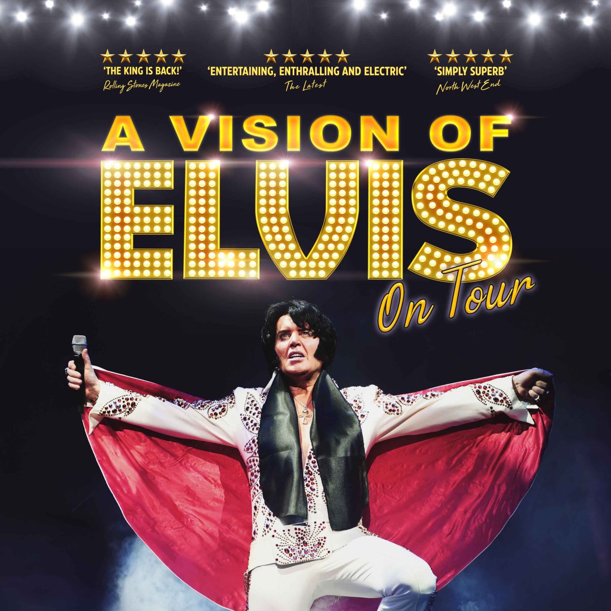 A Vision Of Elvis
