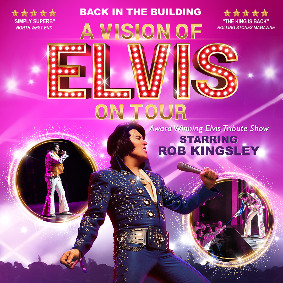 A Vision Of Elvis