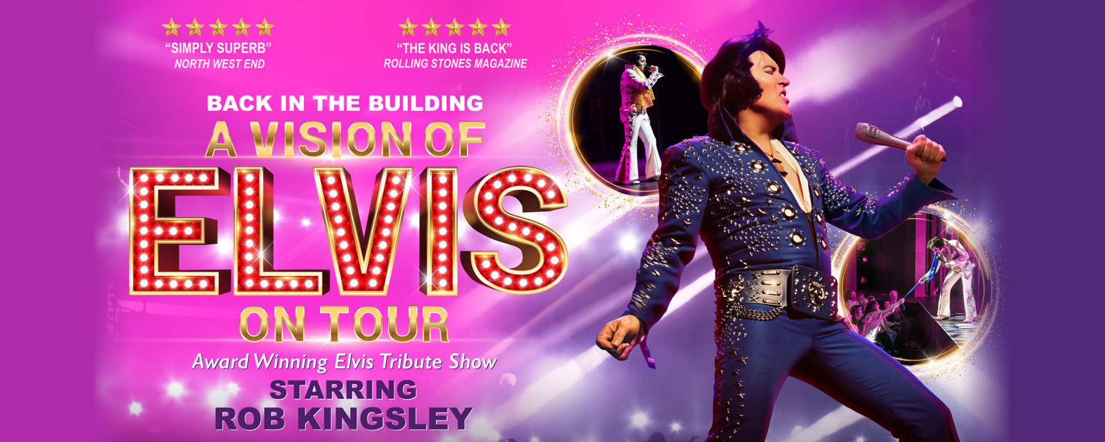 A Vision Of Elvis