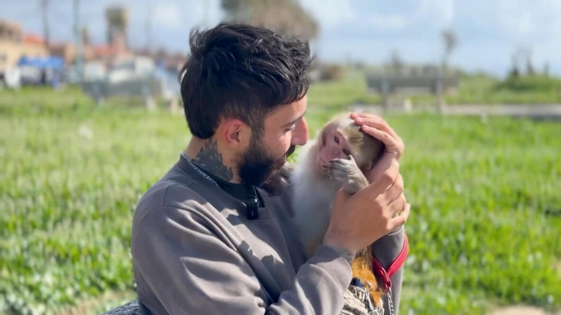 Lebanese resident stays behind with pet monkey despite evacuation orders