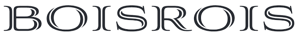 company image