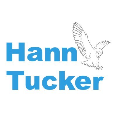 company image